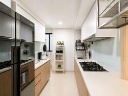 Hundred Palms Residences (D19), Condominium #591923261